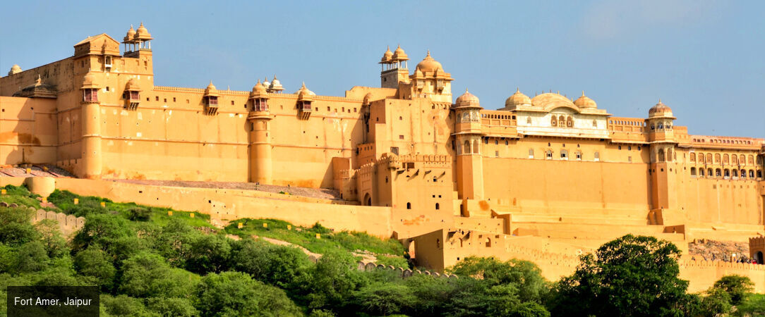 Des temples du Rajasthan aux tigres de Ranthambore -  - Inde
