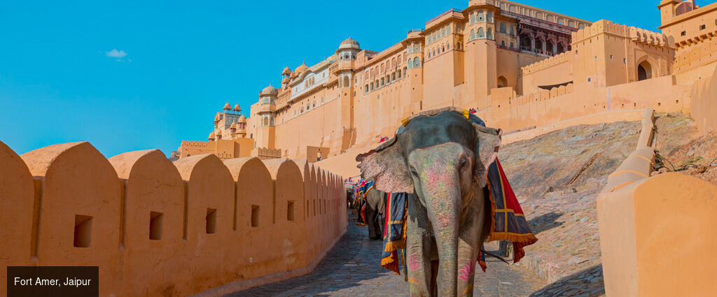 Des temples du Rajasthan aux tigres de Ranthambore -  - Inde
