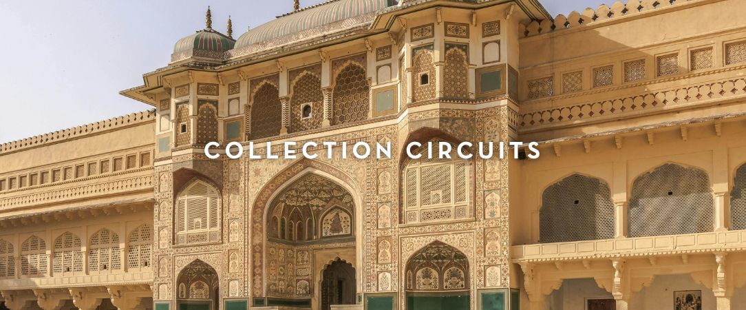 Circuit privatif : des Forts et temples du Rajasthan au Parc de Ranthambore et ses tigres -  - Inde