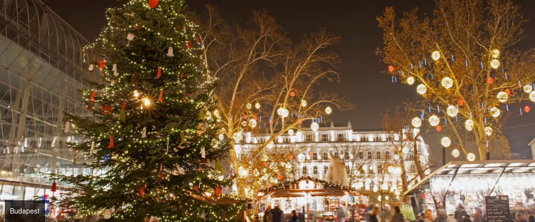 Les marchés de Noël des grandes capitales danubiennes - Croisière de 4 nuits au fil du Danube, de Vienne à Budapest et Bratislava, entre lumières de l’Avent, marchés enchantés et traditions gourmandes. - Autriche, Hongrie & Slovaquie