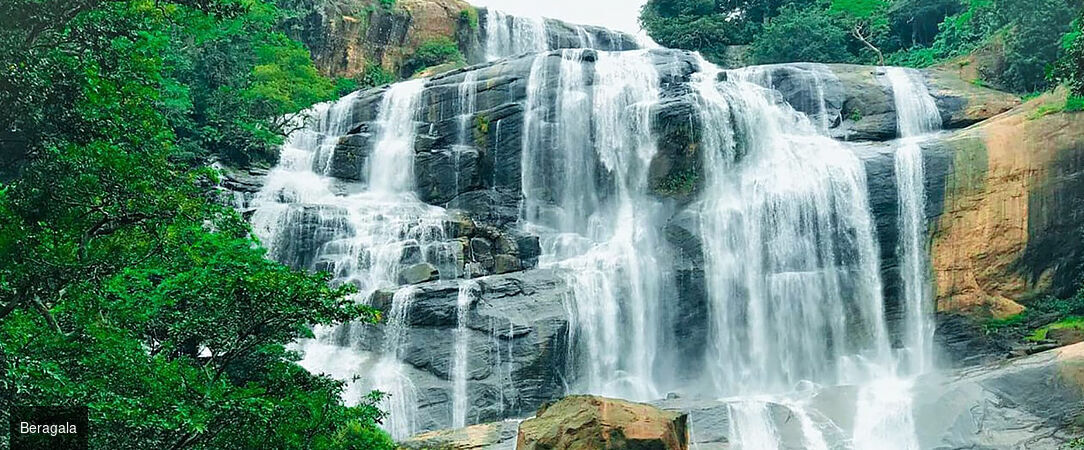 Luxe & traditions au Sri Lanka - Circuit privatif luxueux de 9, 11 ou 13 nuits au plus près de la nature dans les terres sri-lankaises. - Sri Lanka : de Colombo à Balapitiya