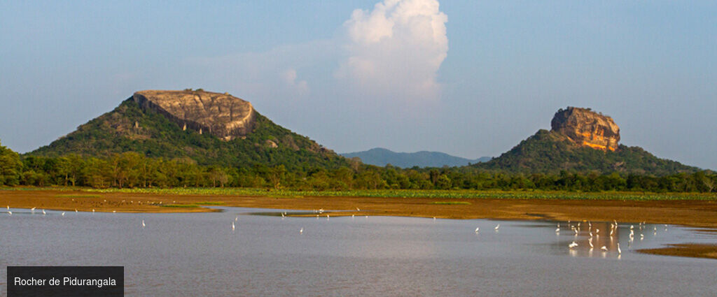 Luxe & traditions au Sri Lanka - Circuit privatif luxueux de 9, 11 ou 13 nuits au plus près de la nature dans les terres sri-lankaises. - Sri Lanka : de Colombo à Balapitiya