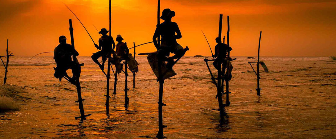 Luxe & traditions au Sri Lanka - Circuit privatif luxueux de 9, 11 ou 13 nuits au plus près de la nature dans les terres sri-lankaises. - Sri Lanka : de Colombo à Balapitiya