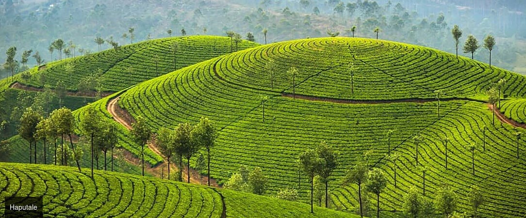 Luxe & traditions au Sri Lanka -  - Sri Lanka