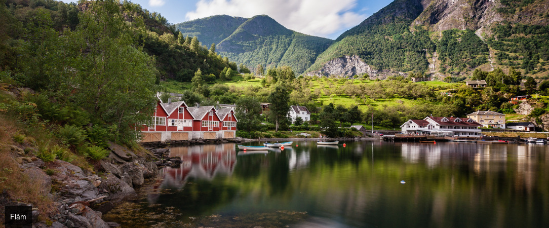 De la capitale aux fjords majestueux en train - Circuit de 7 jours en train d’Oslo aux paysages majestueux des fjords et jusqu’au charme hanséatique de Bergen. - Norvège : Oslo, Flåm & Bergen