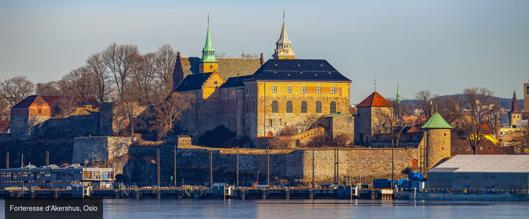De la capitale aux fjords majestueux en train - Circuit de 7 jours en train d’Oslo aux paysages majestueux des fjords et jusqu’au charme hanséatique de Bergen. - Norvège : Oslo, Flåm & Bergen