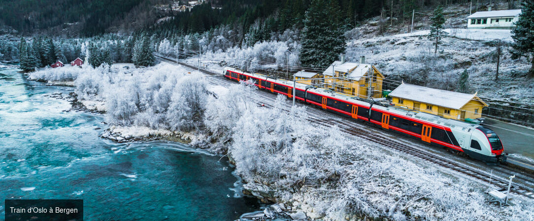 De la capitale aux fjords majestueux en train - Circuit de 7 jours en train d’Oslo aux paysages majestueux des fjords et jusqu’au charme hanséatique de Bergen. - Norvège : Oslo, Flåm & Bergen