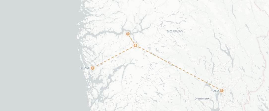 De la capitale aux fjords majestueux en train - Circuit de 7 jours en train d’Oslo aux paysages majestueux des fjords et jusqu’au charme hanséatique de Bergen. - Norvège : Oslo, Flåm & Bergen