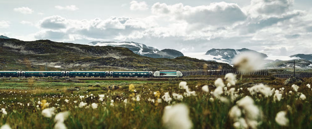 De la capitale aux fjords majestueux en train - Circuit de 7 jours en train d’Oslo aux paysages majestueux des fjords et jusqu’au charme hanséatique de Bergen. - Norvège : Oslo, Flåm & Bergen