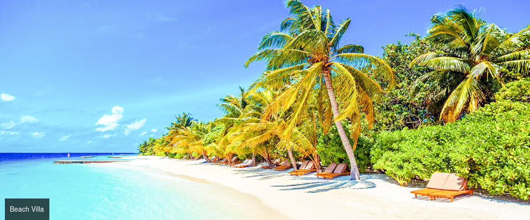 Lily Beach Resort & Spa ★★★★★ - All Inclusive Platinium et séjour en famille dans le paysage turquoise des Maldives. - Maldives