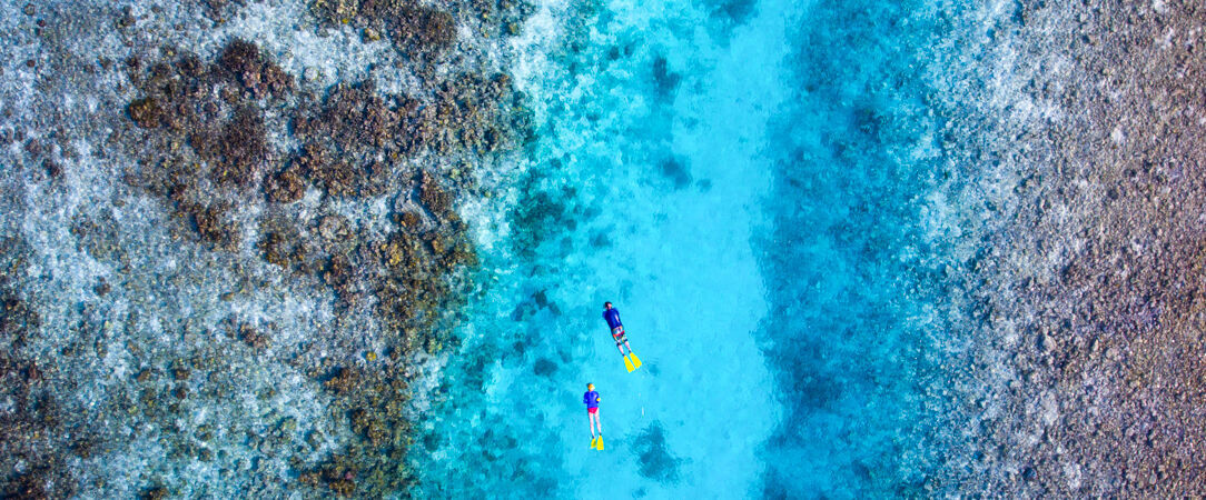 Lily Beach Resort & Spa ★★★★★ - All Inclusive Platinium et séjour en famille dans le paysage turquoise des Maldives. - Maldives