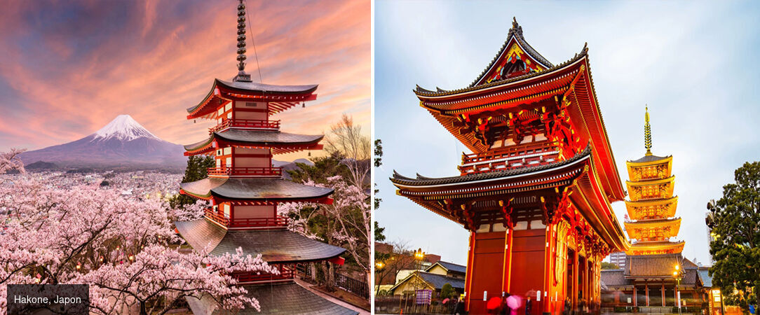 De Séoul à Tokyo : Circuit pour découvrir la Corée du Sud et le Japon - Un voyage dépaysant et immersif dans la Corée du Sud et au Japon. - Corée du Sud et Japon