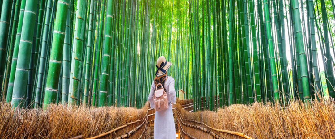 De Séoul à Tokyo : Circuit pour découvrir la Corée du Sud et le Japon - Un voyage dépaysant et immersif dans la Corée du Sud et au Japon. - Corée du Sud et Japon