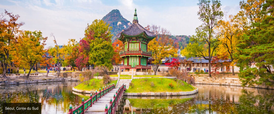 De Séoul à Tokyo : Circuit pour découvrir la Corée du Sud et le Japon - Un voyage dépaysant et immersif dans la Corée du Sud et au Japon. - Corée du Sud et Japon
