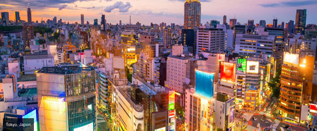 De Séoul à Tokyo : Circuit pour découvrir la Corée du Sud et le Japon - Un voyage dépaysant et immersif dans la Corée du Sud et au Japon. - Corée du Sud et Japon