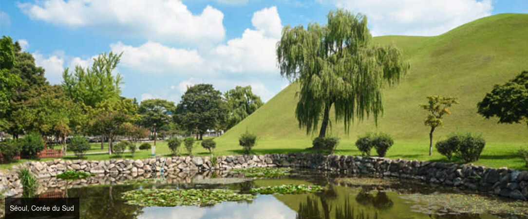 De Séoul à Tokyo : Circuit pour découvrir la Corée du Sud et le Japon - Un voyage dépaysant et immersif dans la Corée du Sud et au Japon. - Corée du Sud et Japon