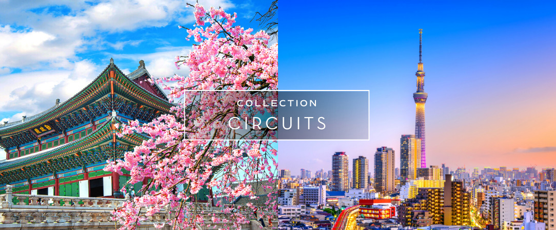 De Séoul à Tokyo : Circuit pour découvrir la Corée du Sud et le Japon - Un voyage dépaysant et immersif dans la Corée du Sud et au Japon. - Corée du Sud et Japon