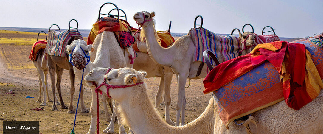 ÔCLUB Zen Barcelo Palmeraie et escapade dans le Désert d’Agafay - Un voyage exceptionnel au Maroc, entre Marrakech et le désert d’Agafay. - Maroc