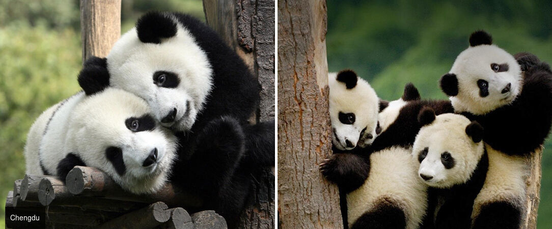 Circuit groupé ou privatif : Grand Tour sur les traces du légendaire Dragon Bleu - Merveilleux périple sur les traces du Dragon Bleu : un voyage épique dans la Chine historique. - Chine