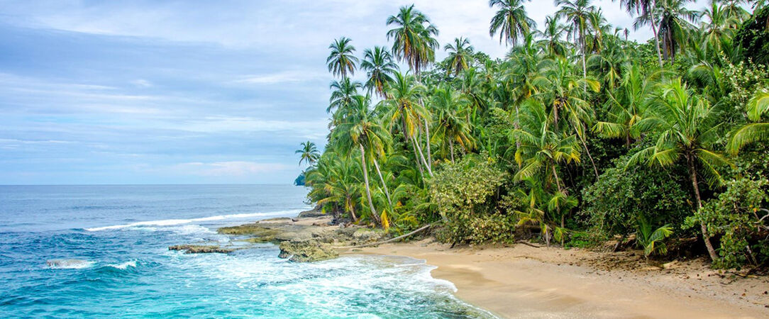 Le Costa Rica sous toutes les coutures -  - Costa Rica