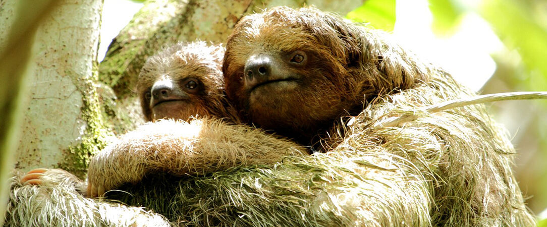Le Costa Rica sous toutes les coutures -  - Costa Rica