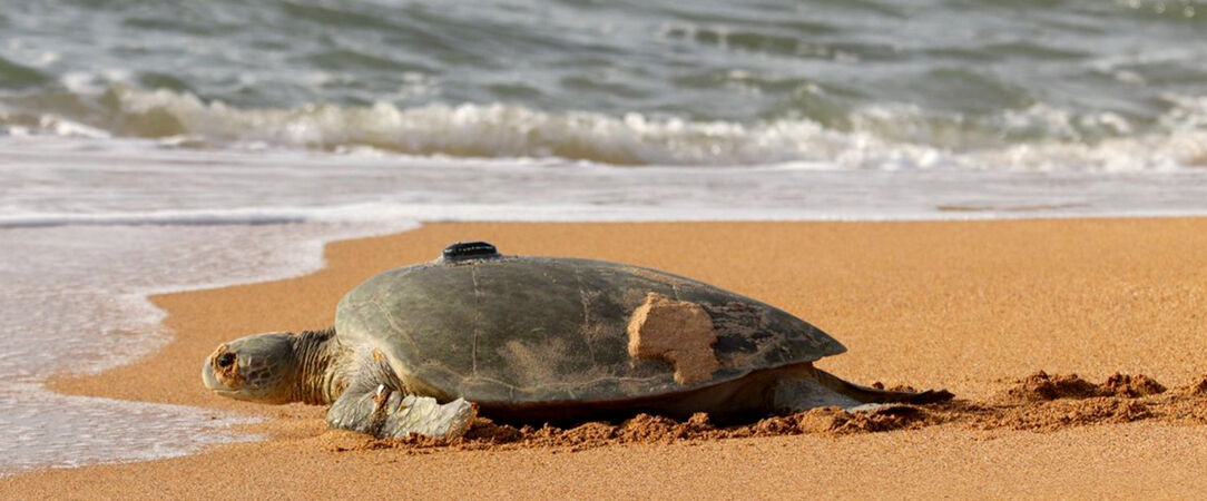 Le Costa Rica sous toutes les coutures -  - Costa Rica