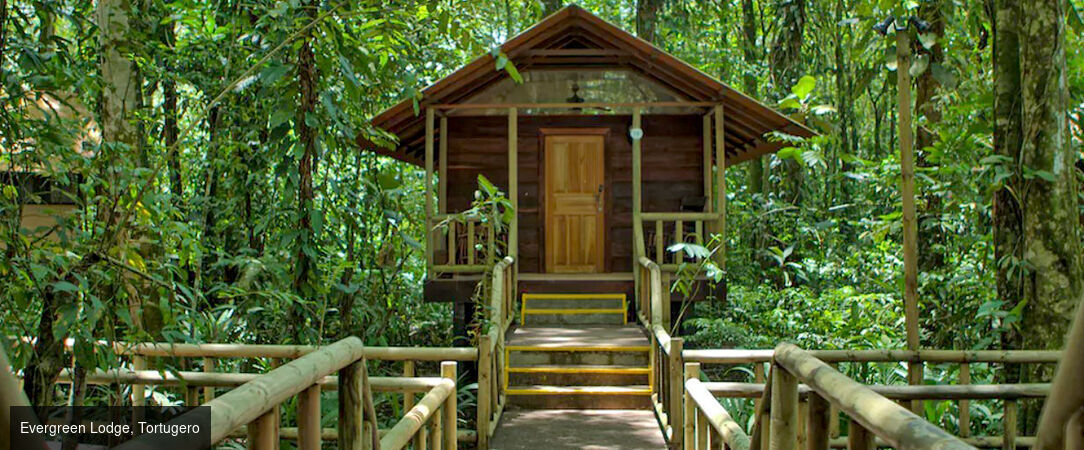 Le Costa Rica sous toutes les coutures -  - Costa Rica