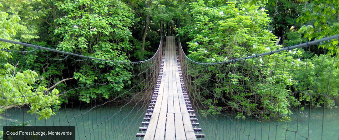 Le Costa Rica sous toutes les coutures -  - Costa Rica