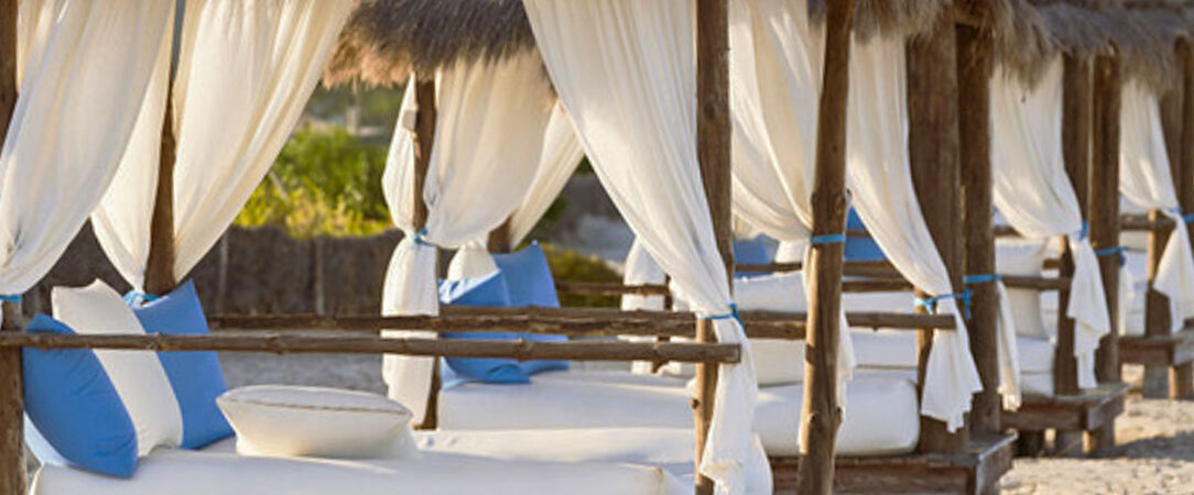 TUI Blue Palm Beach Djerba ★★★★★ - Adults Only 18+ - Oasis de luxe réservée aux adultes. - Djerba, Tunisie