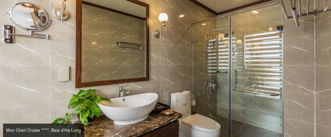 Vietnam fascinant avec extension optionnelle à Pu Luong & Ninh Binh -  - Vietnam