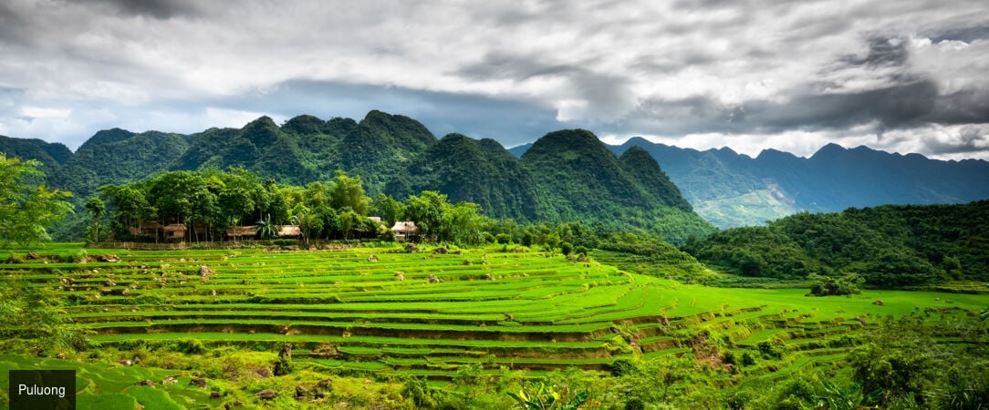 Vietnam fascinant avec extension optionnelle à Pu Luong & Ninh Binh -  - Vietnam