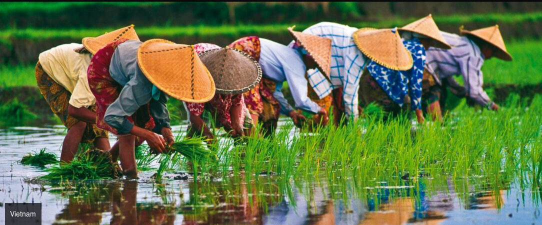 Vietnam fascinant avec extension optionnelle à Pu Luong & Ninh Binh -  - Vietnam
