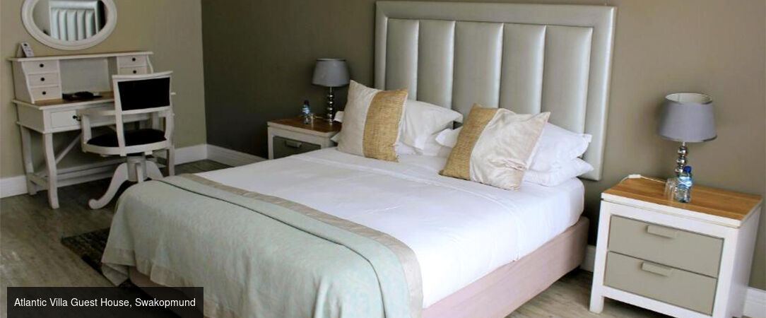 Circuit groupé : À travers la faune et la flore de la Namibie - Entre safari et rencontre avec le peuple Himba, explorez cette destination fascinante à travers les plus beaux paysages du pays. - Namibie