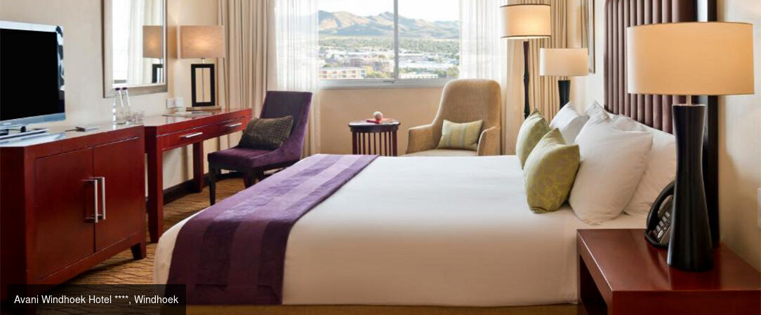 Circuit groupé : À travers la faune et la flore de la Namibie - Entre safari et rencontre avec le peuple Himba, explorez cette destination fascinante à travers les plus beaux paysages du pays. - Namibie