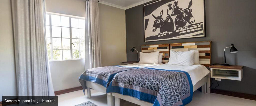 Circuit groupé : À travers la faune et la flore de la Namibie - Entre safari et rencontre avec le peuple Himba, explorez cette destination fascinante à travers les plus beaux paysages du pays. - Namibie