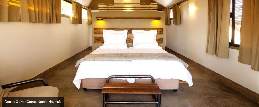 Circuit groupé : À travers la faune et la flore de la Namibie - Entre safari et rencontre avec le peuple Himba, explorez cette destination fascinante à travers les plus beaux paysages du pays. - Namibie