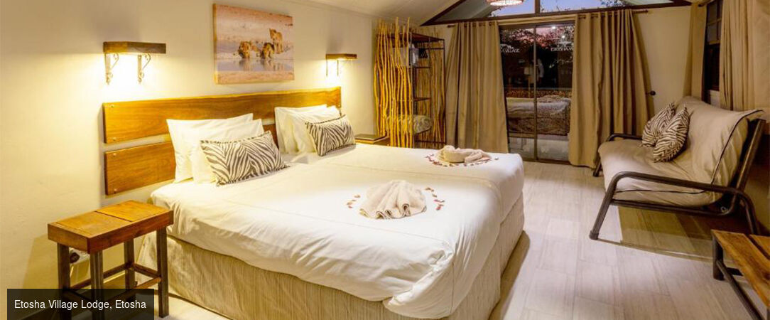 Circuit groupé : À travers la faune et la flore de la Namibie - Entre safari et rencontre avec le peuple Himba, explorez cette destination fascinante à travers les plus beaux paysages du pays. - Namibie