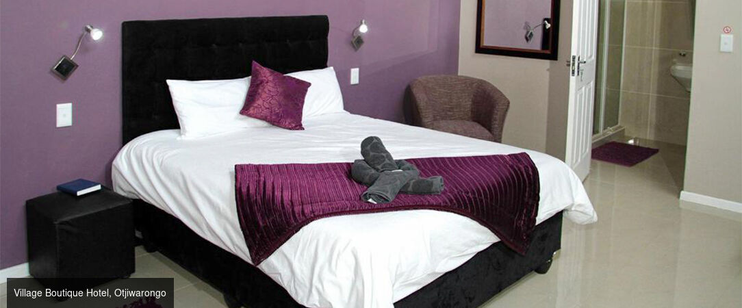 Circuit groupé : À travers la faune et la flore de la Namibie - Entre safari et rencontre avec le peuple Himba, explorez cette destination fascinante à travers les plus beaux paysages du pays. - Namibie