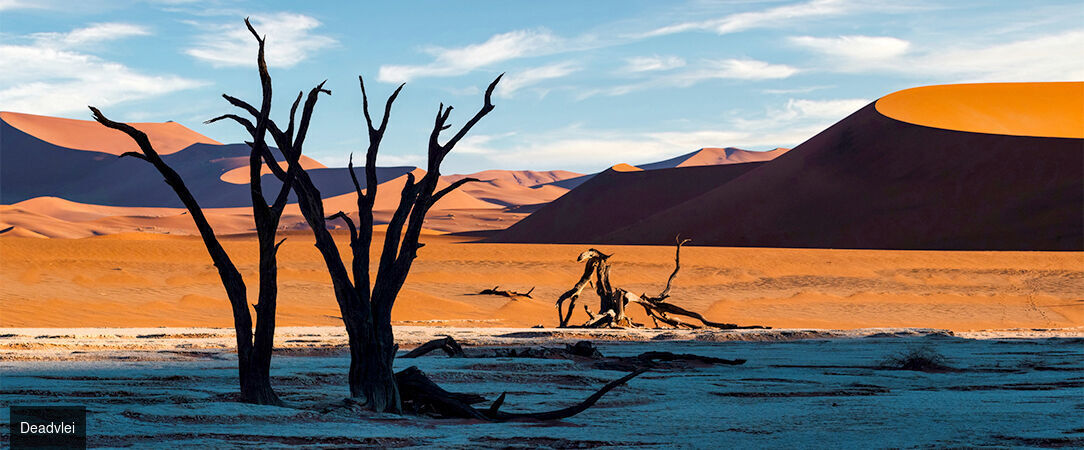 Circuit groupé : À travers la faune et la flore de la Namibie - Entre safari et rencontre avec le peuple Himba, explorez cette destination fascinante à travers les plus beaux paysages du pays. - Namibie