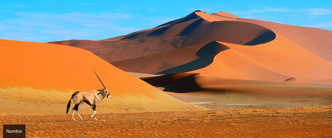 Circuit groupé : À travers la faune et la flore de la Namibie - Entre safari et rencontre avec le peuple Himba, explorez cette destination fascinante à travers les plus beaux paysages du pays. - Namibie