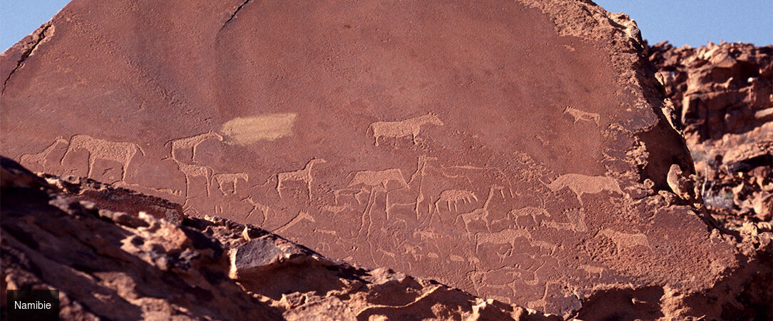 Circuit groupé : À travers la faune et la flore de la Namibie - Entre safari et rencontre avec le peuple Himba, explorez cette destination fascinante à travers les plus beaux paysages du pays. - Namibie