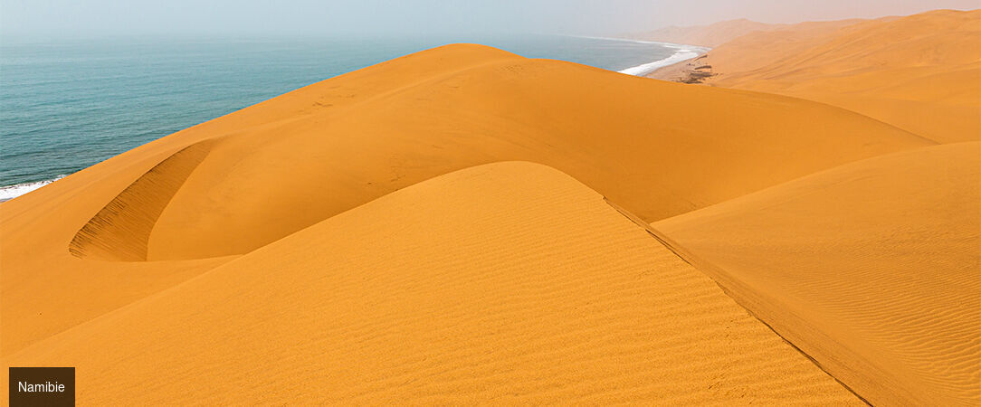 Circuit groupé : À travers la faune et la flore de la Namibie - Entre safari et rencontre avec le peuple Himba, explorez cette destination fascinante à travers les plus beaux paysages du pays. - Namibie