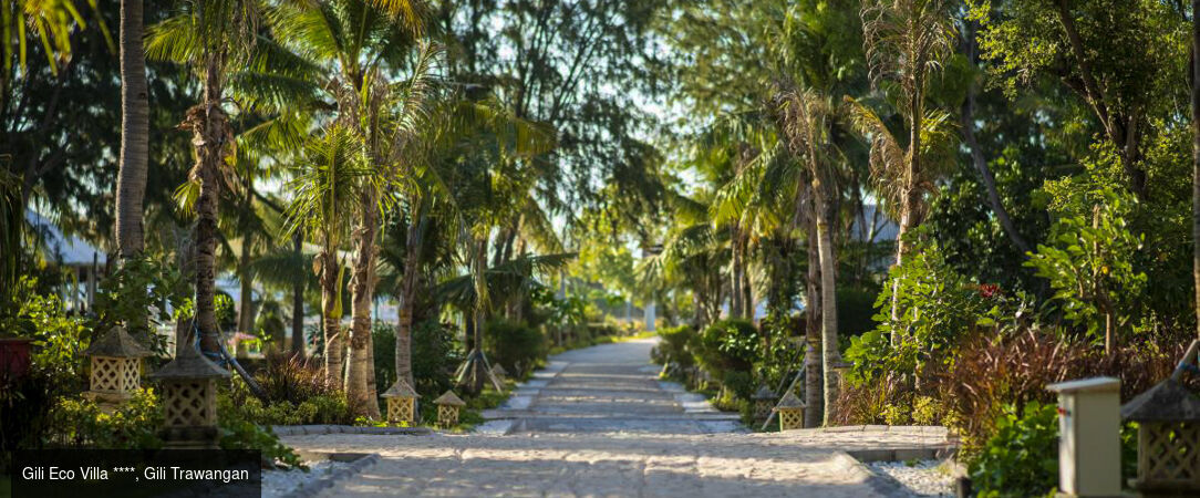 De l'âme d'Ubud aux rivages de Gili et Seminyak - Un voyage entre 7 et 18 nuits au cœur des rizières et des lagons turquoise entre Ubud, Gili et Seminyak. - Indonésie : Bali & Gili Trawangan
