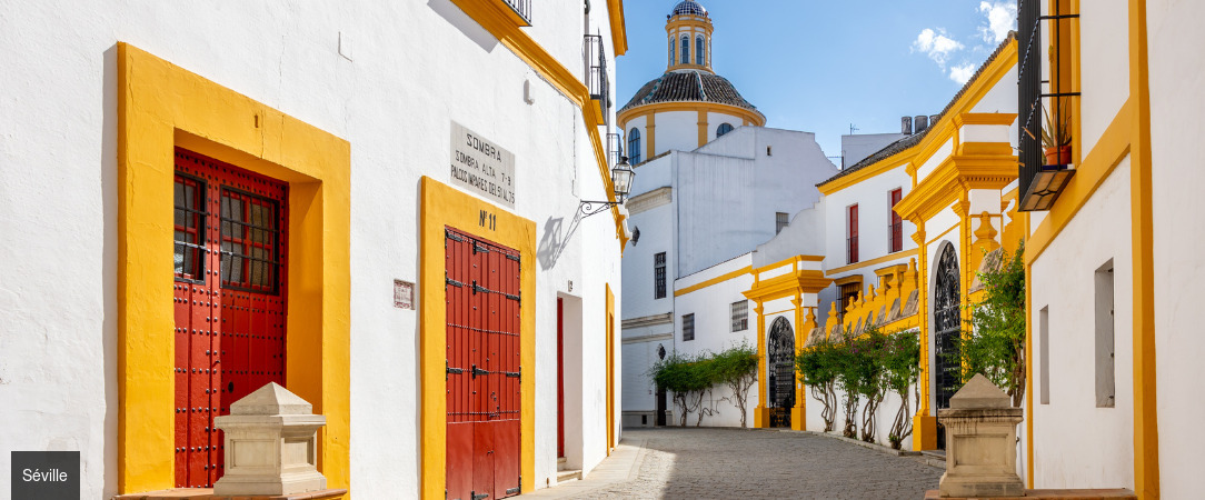 Palais et villages blancs sous le soleil d’Andalousie - Autotour de 7 nuits à la découverte des trésors andalous, de Malaga à Séville, entre héritage mauresque, culture vibrante et art de vivre méditerranéen. - Andalousie : Malaga, Séville