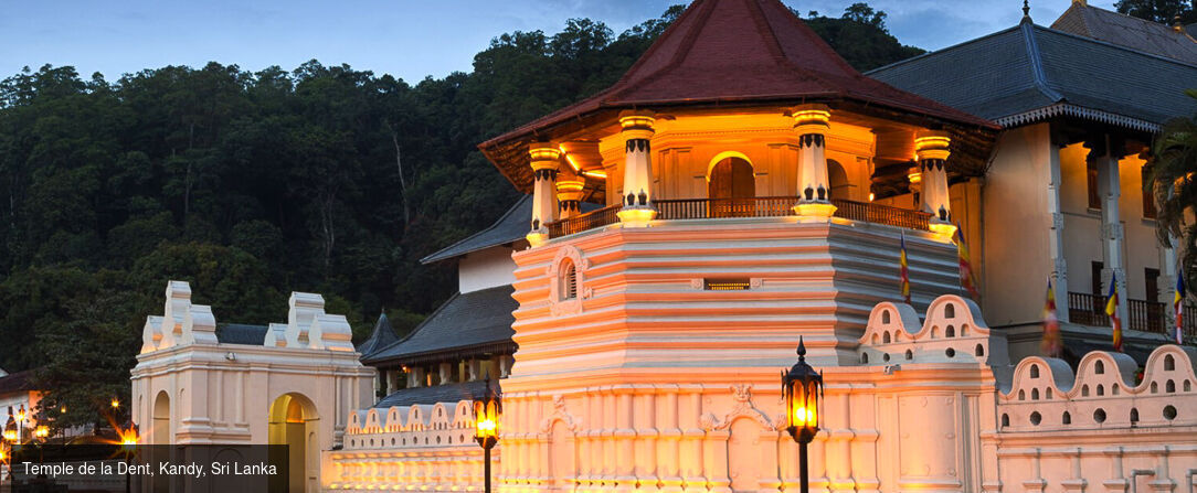 Circuit privatif : à la découverte des trésors des Maldives et du Sri Lanka - Merveilleux voyage, des merveilles du Sri Lanka aux plages paradisiaques des Maldives. - Sri Lanka et Maldives