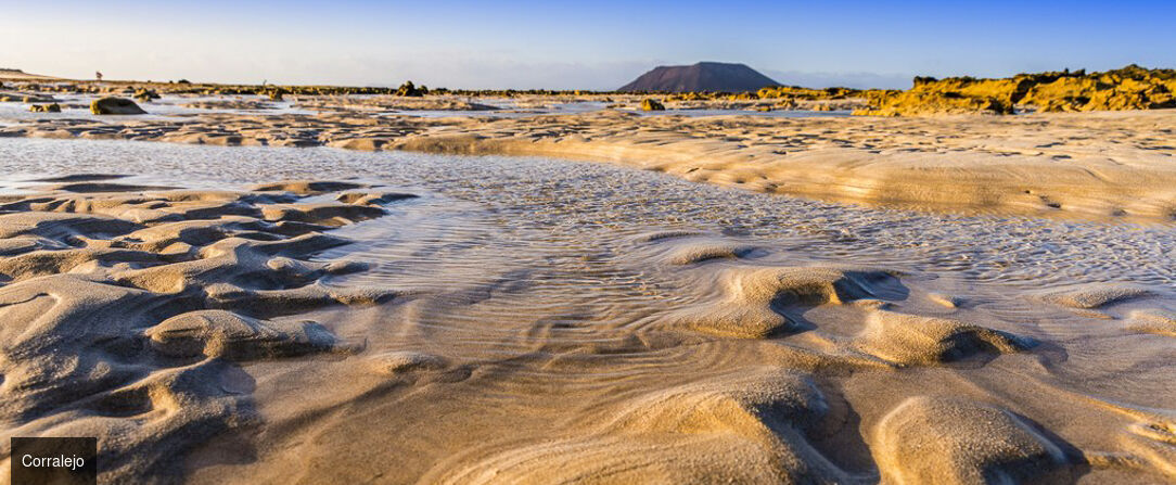 Ôclub Select Alua Suites - My Favorite Club ★★★★ - Profitez d’une île au soleil en formule All Inclusive pour vos vacances en couple. - Fuerteventura, Îles Canaries