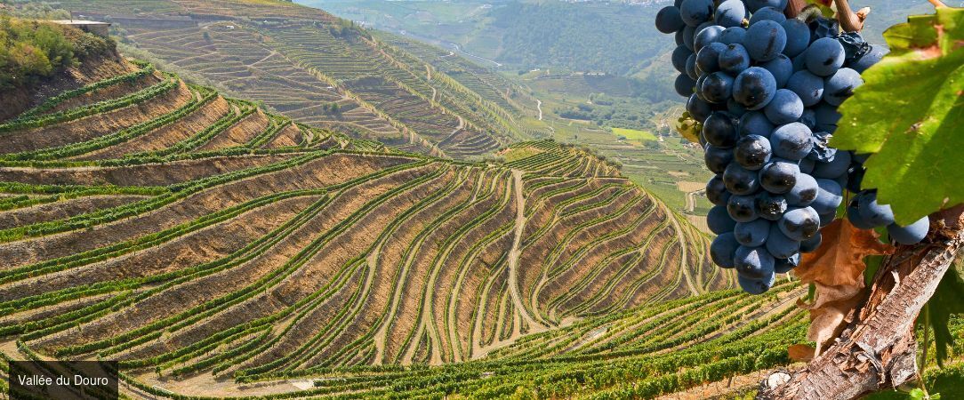 Les perles du nord du Portugal - Autotour de 8 jours, à travers les vignobles, villages historiques et paysages enchanteurs du nord du Portugal. - Porto, Portugal