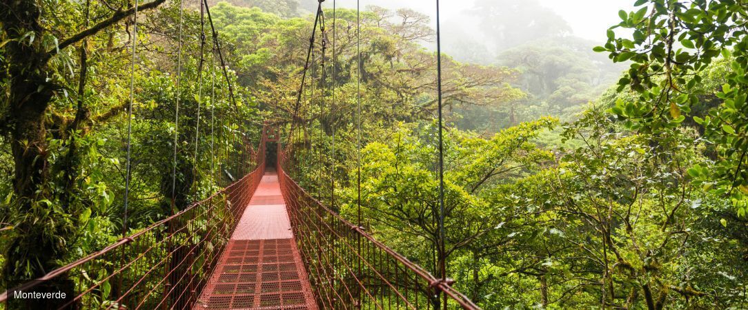 Le Costa Rica entre forêts et plages - Circuit groupé de 10 nuits entre nature, volcans, forêts et plages. - Costa Rica : de San José à Sámara