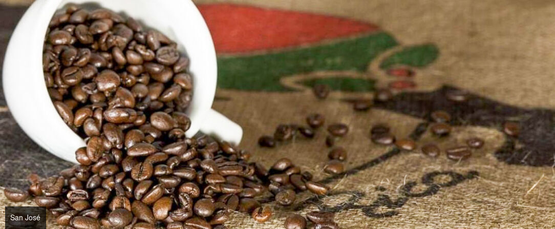 Circuit : Les incontournables du Costa Rica avec un séjour à Tamarindo - Costa Rica : nature chantante, volcans dansants ; un tableau de rêve sur un air de Pura Vida. - Costa Rica