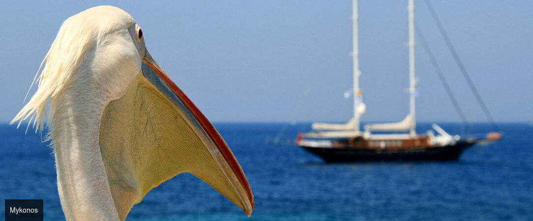 Joyaux emblématiques des Cyclades -  - Cyclades, Grèce